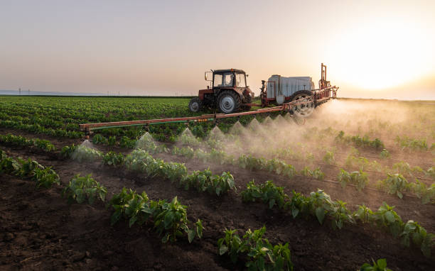 Best Pest Control for Businesses  in Red Lick, TX